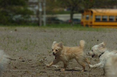 May15_07_453.JPG