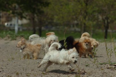 May15_07_454.JPG