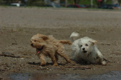 May15_07_458.JPG