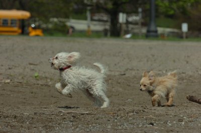 May15_07_461.JPG