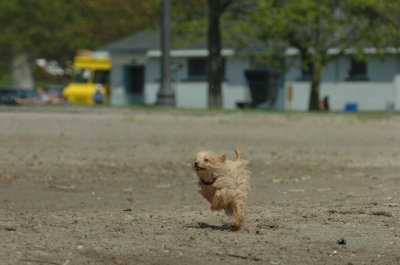 May15_07_463.JPG