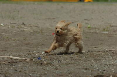 May15_07_464.JPG
