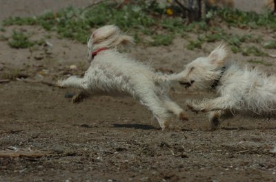 May15_07_473.JPG
