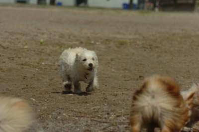 May15_07_482.JPG