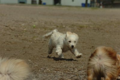 May15_07_483.JPG