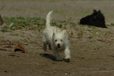 May15_07_489.JPG