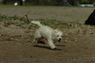 May15_07_497.JPG