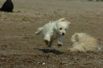 May15_07_498.JPG