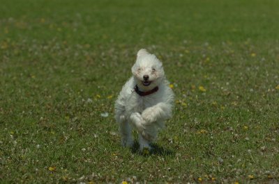 May15_07_542.JPG