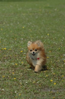 May15_07_548.JPG