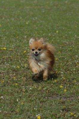 May15_07_549.JPG