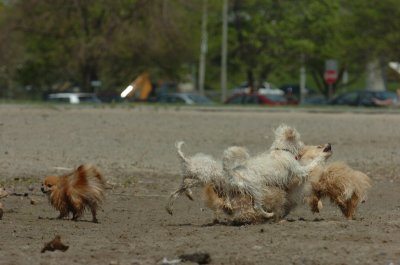 May15_07_294.JPG