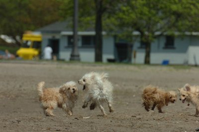 May15_07_166.JPG