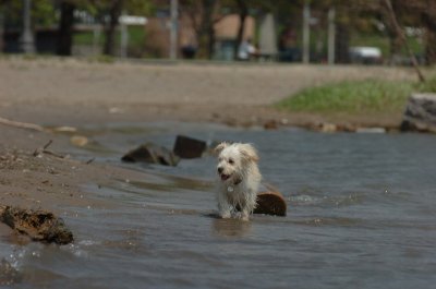 May15_07_167.JPG