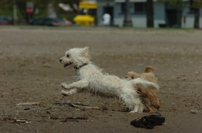 May15_07_168.JPG