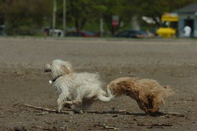 May15_07_170.JPG