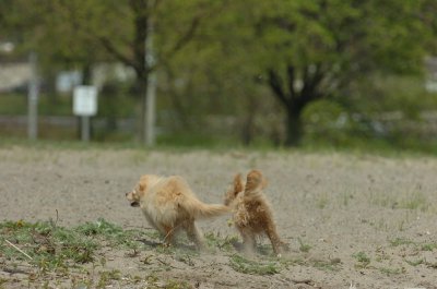 May15_07_171.JPG