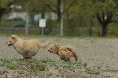 May15_07_173.JPG