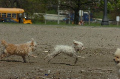 May15_07_174.JPG