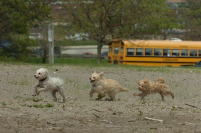 May15_07_176.JPG