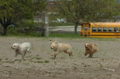 May15_07_177.JPG