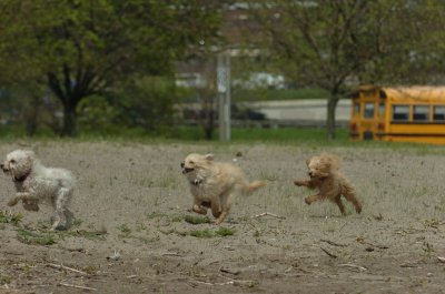 May15_07_178.JPG
