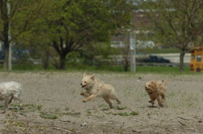 May15_07_179.JPG