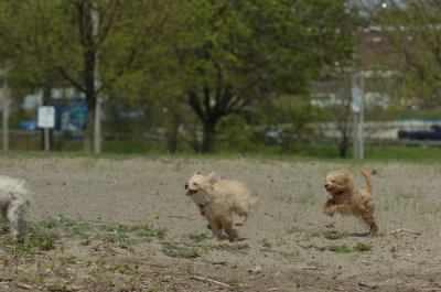 May15_07_180.JPG
