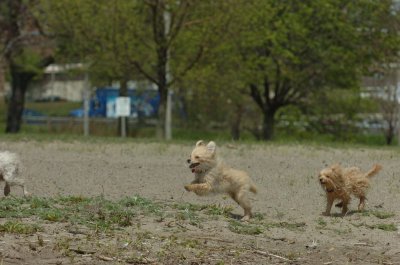 May15_07_181.JPG