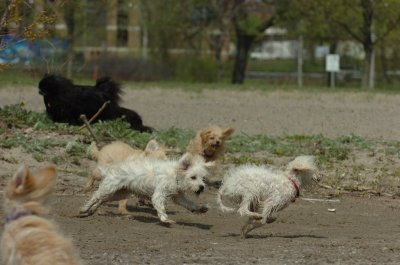 May15_07_182.JPG