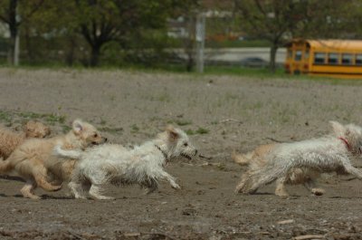 May15_07_184.JPG