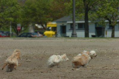 May15_07_185.JPG