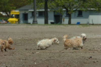 May15_07_186.JPG