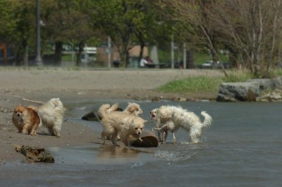 May15_07_188.JPG
