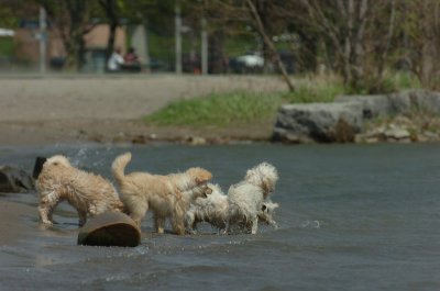 May15_07_191.JPG