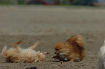 May15_07_239.JPG