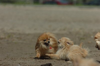 May15_07_242.JPG