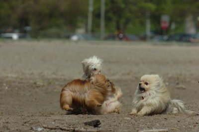 May15_07_258.JPG