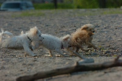 May19_07_778.JPG