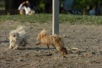 May19_07_474.JPG
