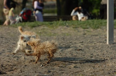 May19_07_478.JPG
