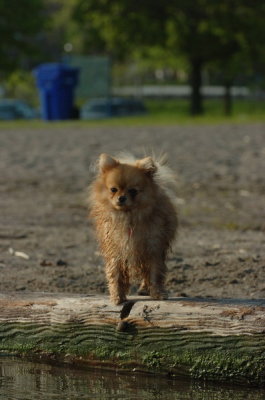 May19_07_496.JPG