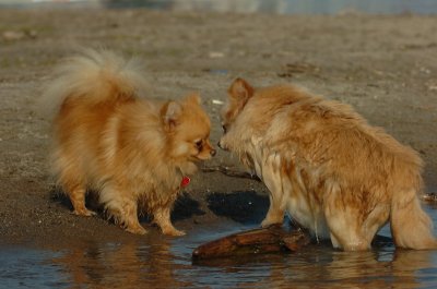 May19_07_335.JPG