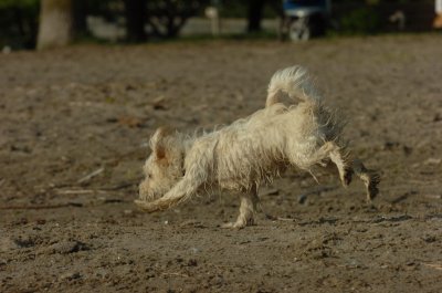 May19_07_398.JPG