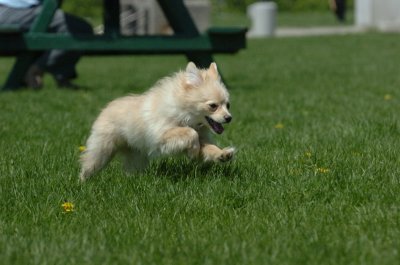 May19_07_143.JPG