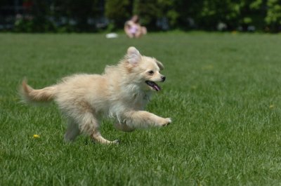 May19_07_144.JPG