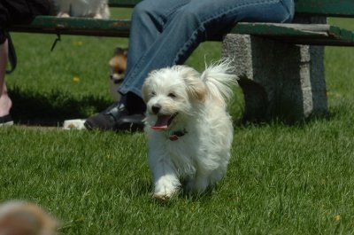 May19_07_156.JPG