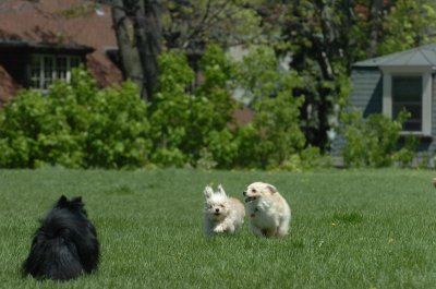 May19_07_162.JPG