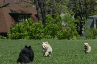 May19_07_165.JPG