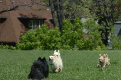 May19_07_166.JPG
